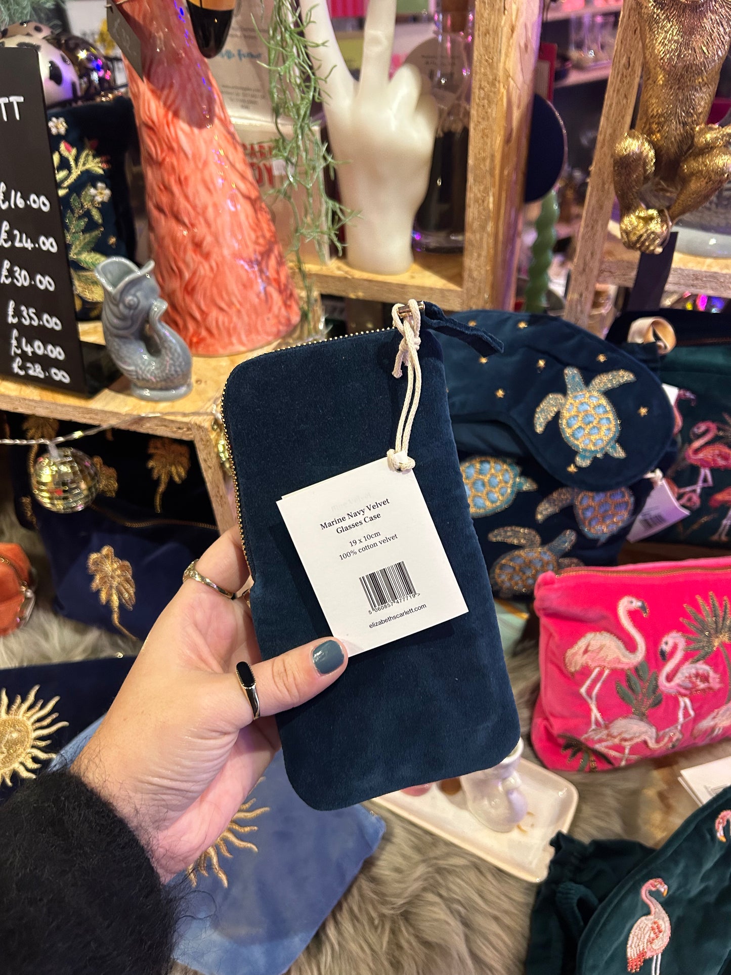 Elizabeth Scarlett Turtle Glasses Case