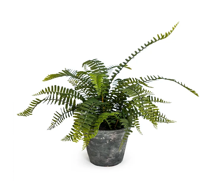 Faux Potted Fern Plant