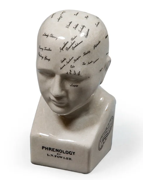 Phrenology head