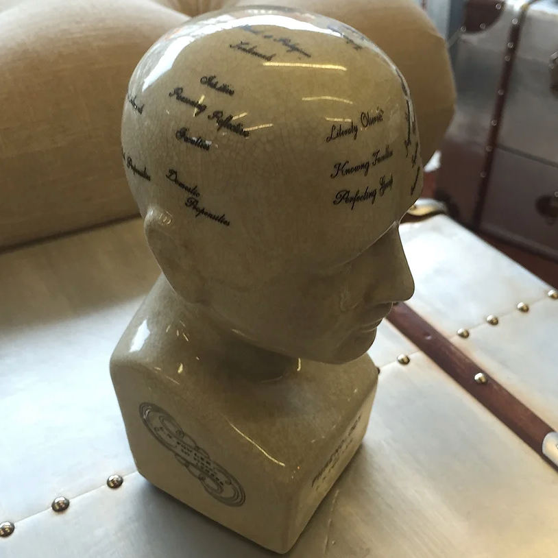 Phrenology head