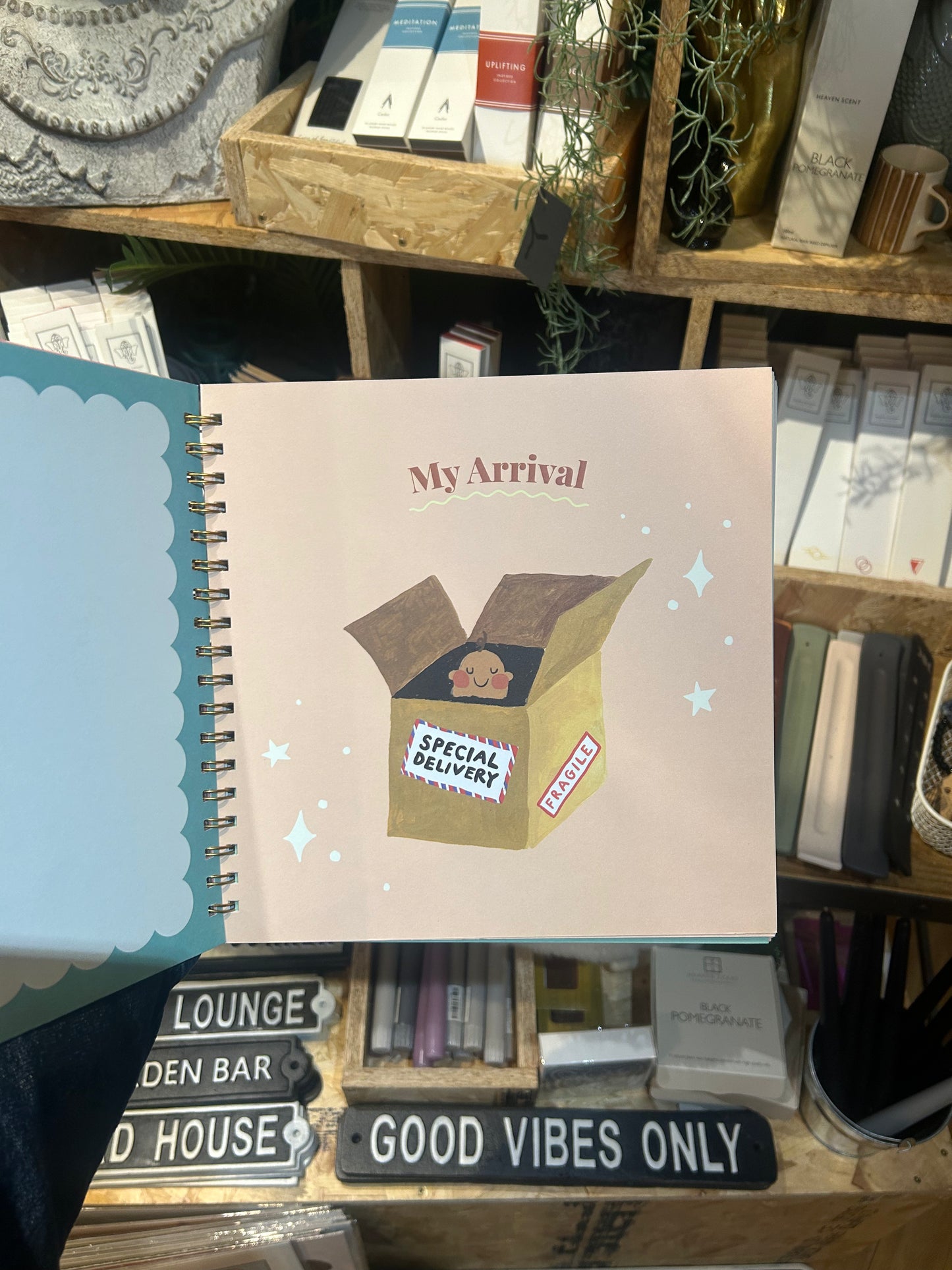 Eleanor Bowmer Baby Record Book