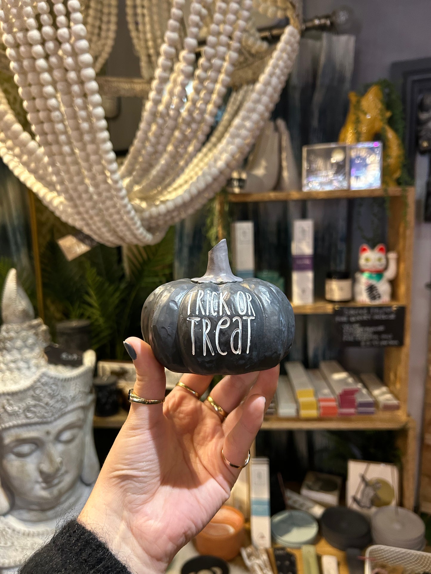 Trick or Treat Black Pumpkin