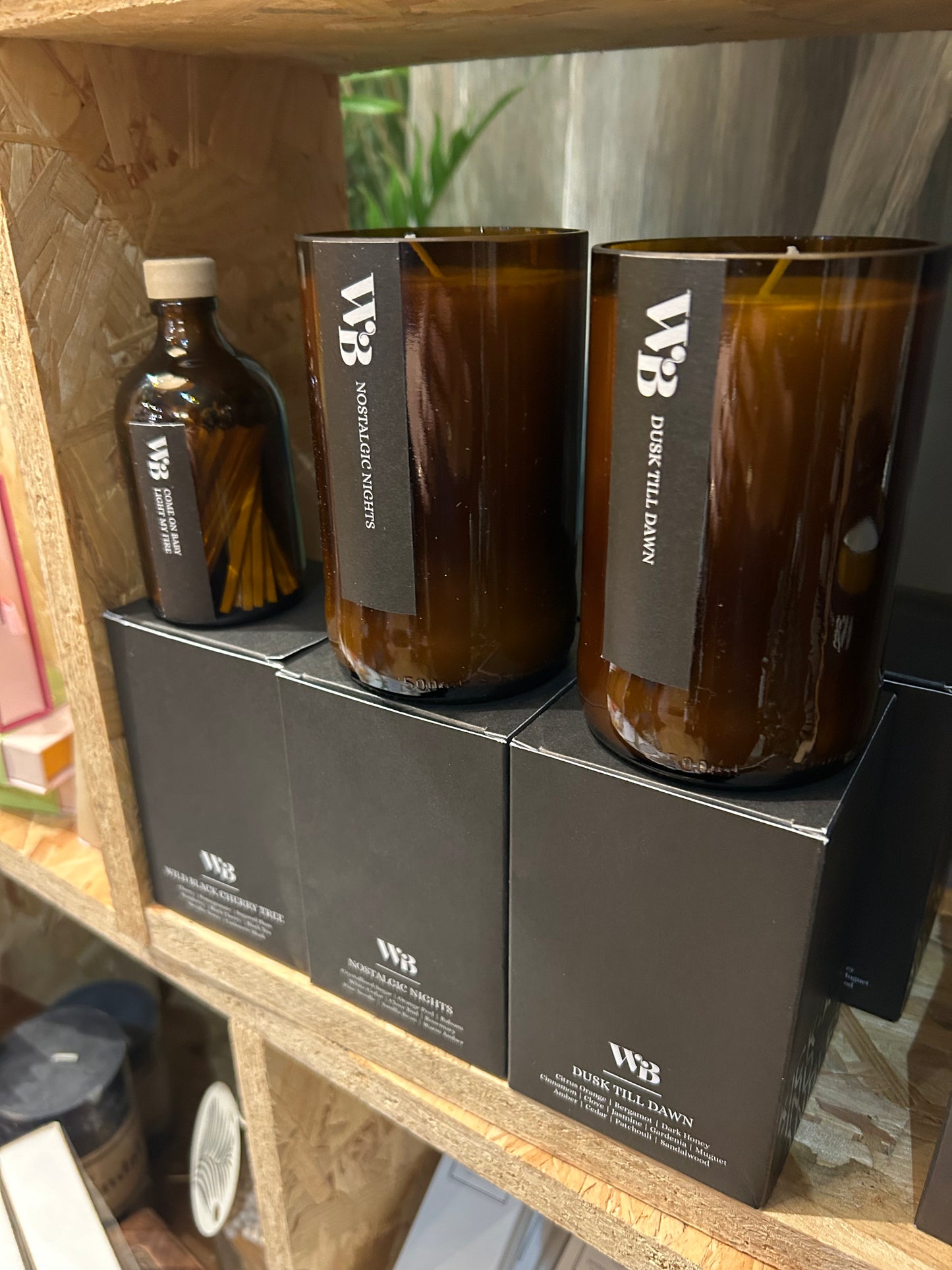 The Wandering Bee Candle - Dusk Till Dawn