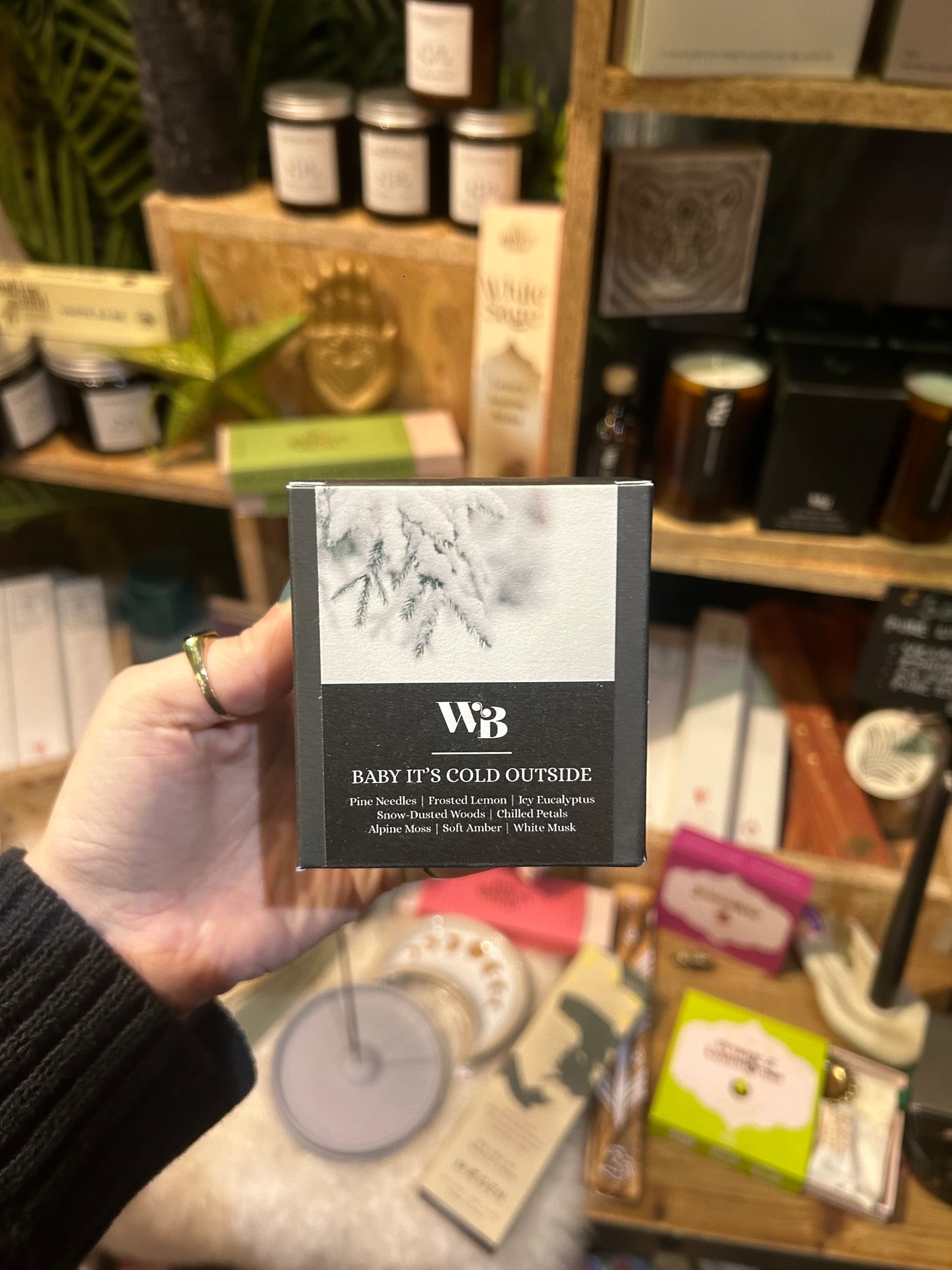 The Wandering Bee - Baby It's Cold Outside