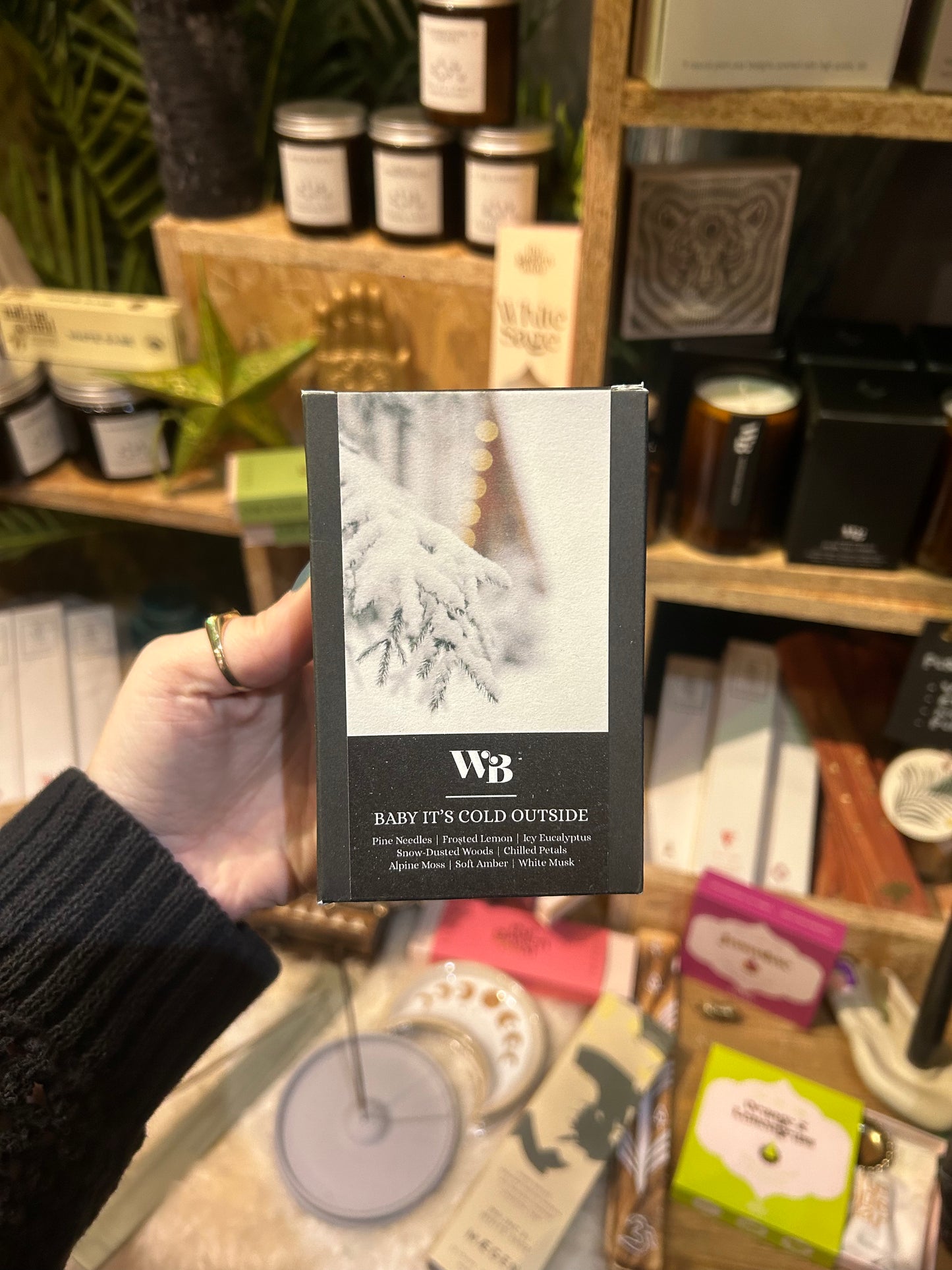 The Wandering Bee - Baby It's Cold Outside