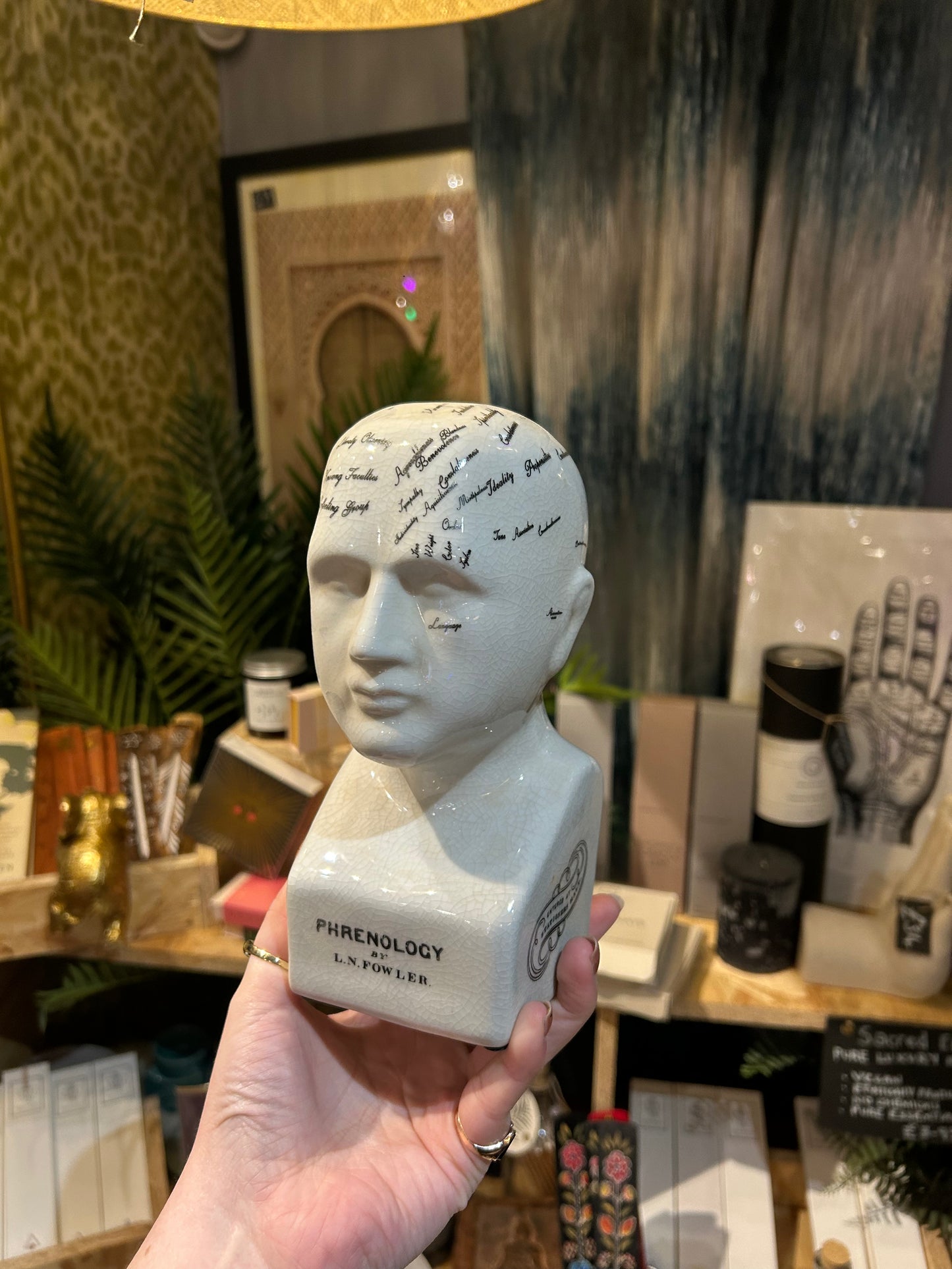 Small Antiqued Ceramic Phrenology Head