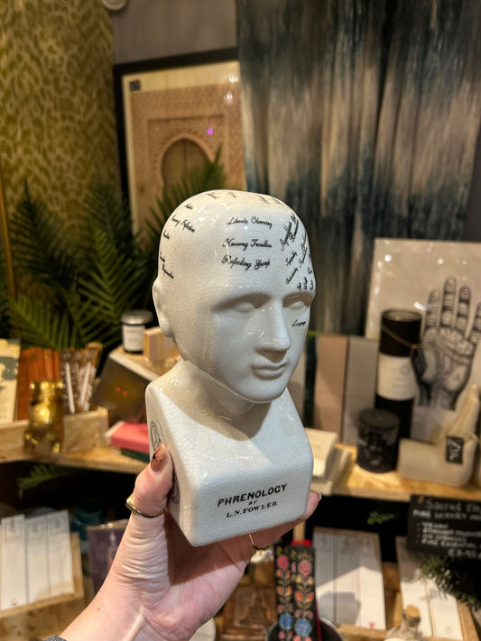 Small Antiqued Ceramic Phrenology Head