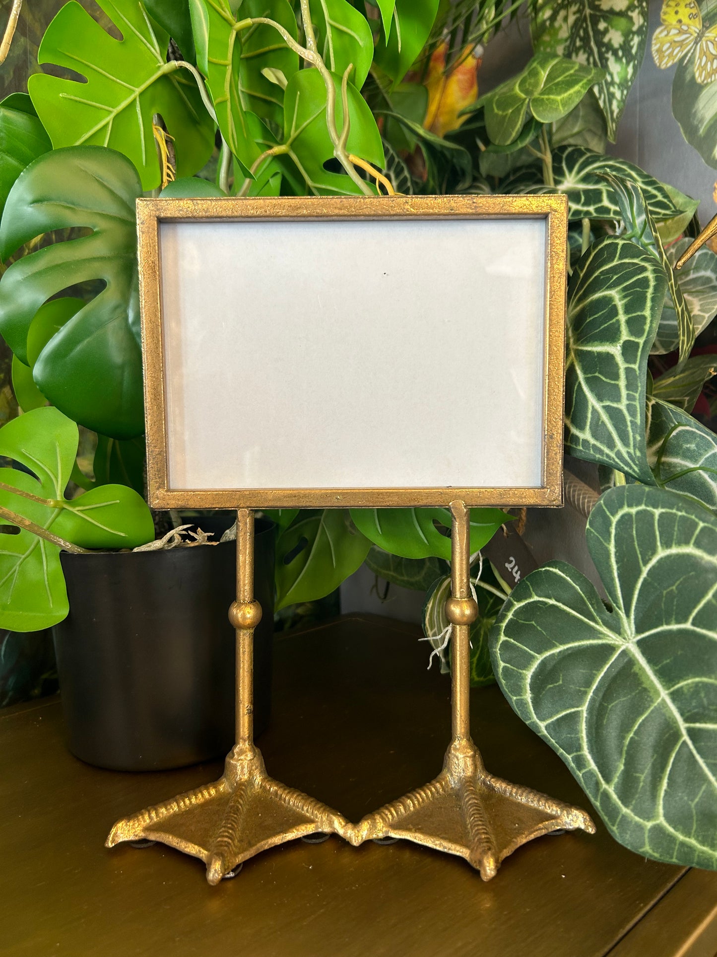 Duck Feet Photo Frame