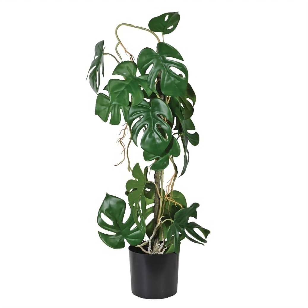 Faux Monstera Plant in Black pot