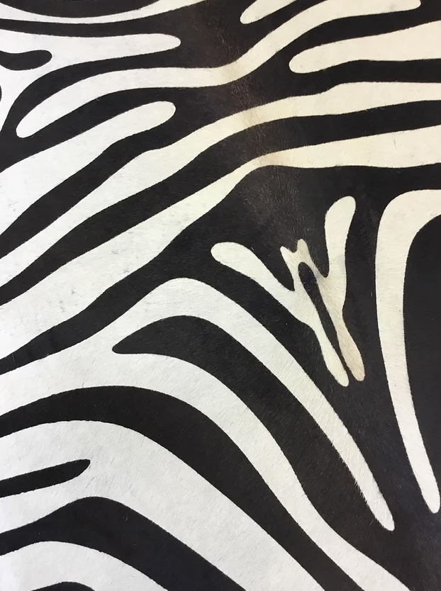 Large Black and off-white zebra print cow hide