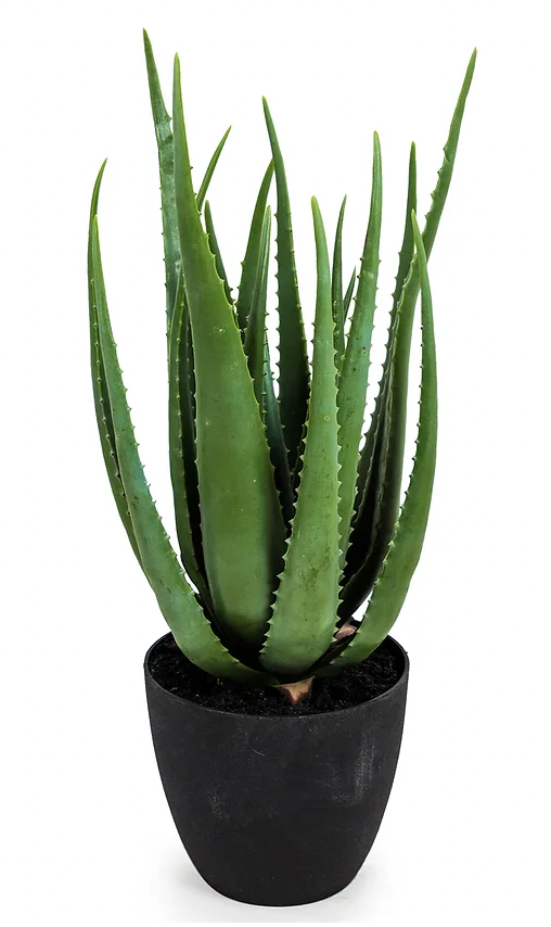 Faux Aloe Plant