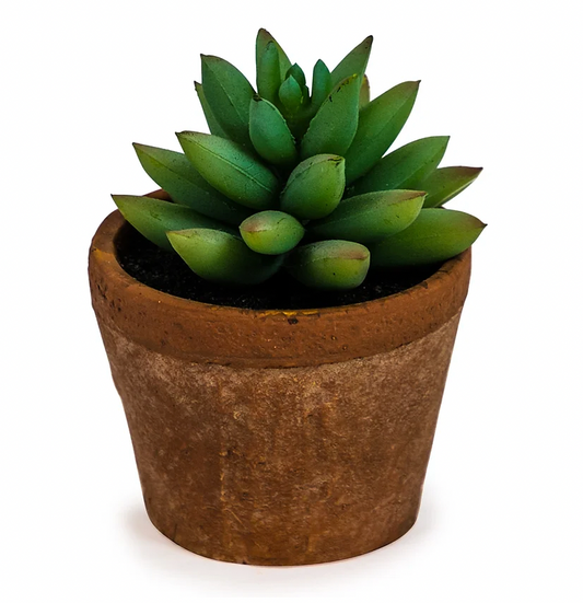 Faux Succulent Plant