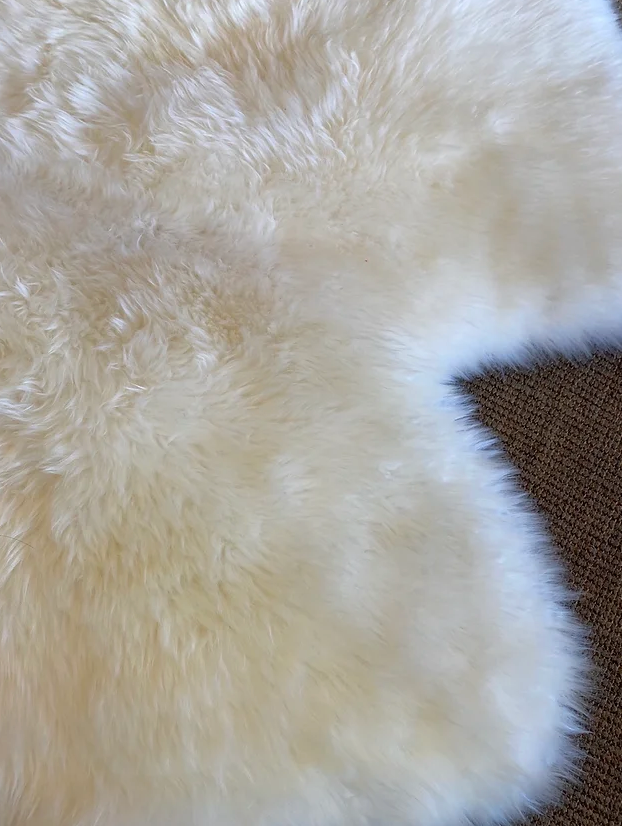 Ivory quad Sheepskin rug