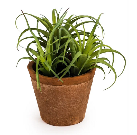 Faux succulent plant in terracotta pot