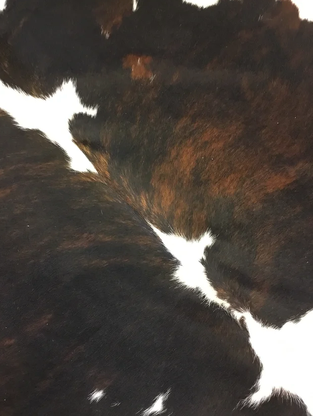 Tri colour black white and brown cow hide